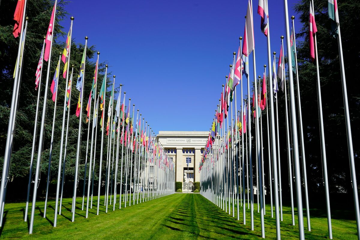 International flags representing translation services across multiple sectors
