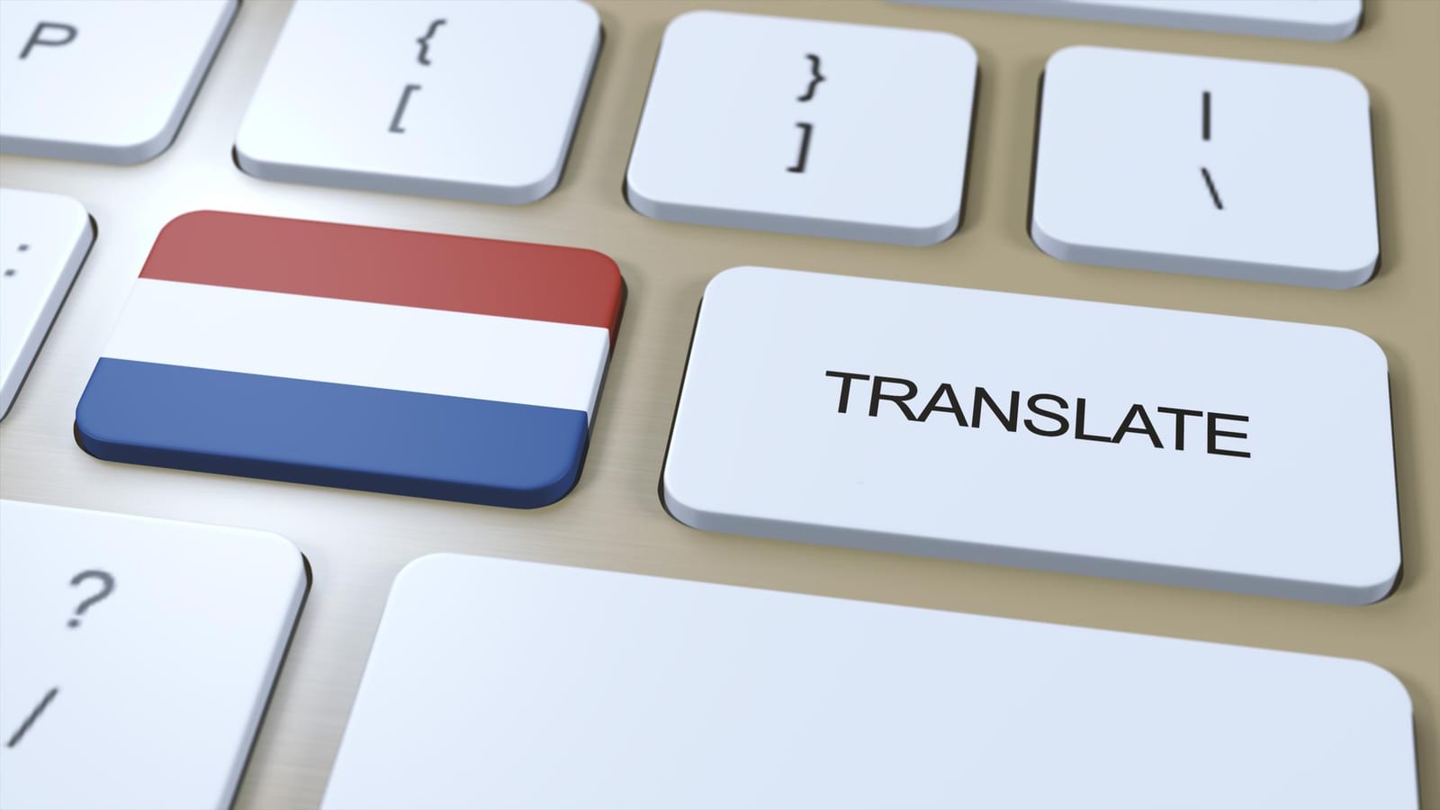 What Does a Translation Cost? Pricing Explained