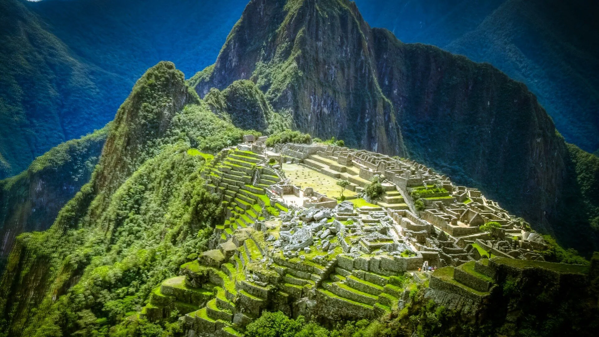 Mixtec translator — variant-matched Mixtec interpreting and translation
