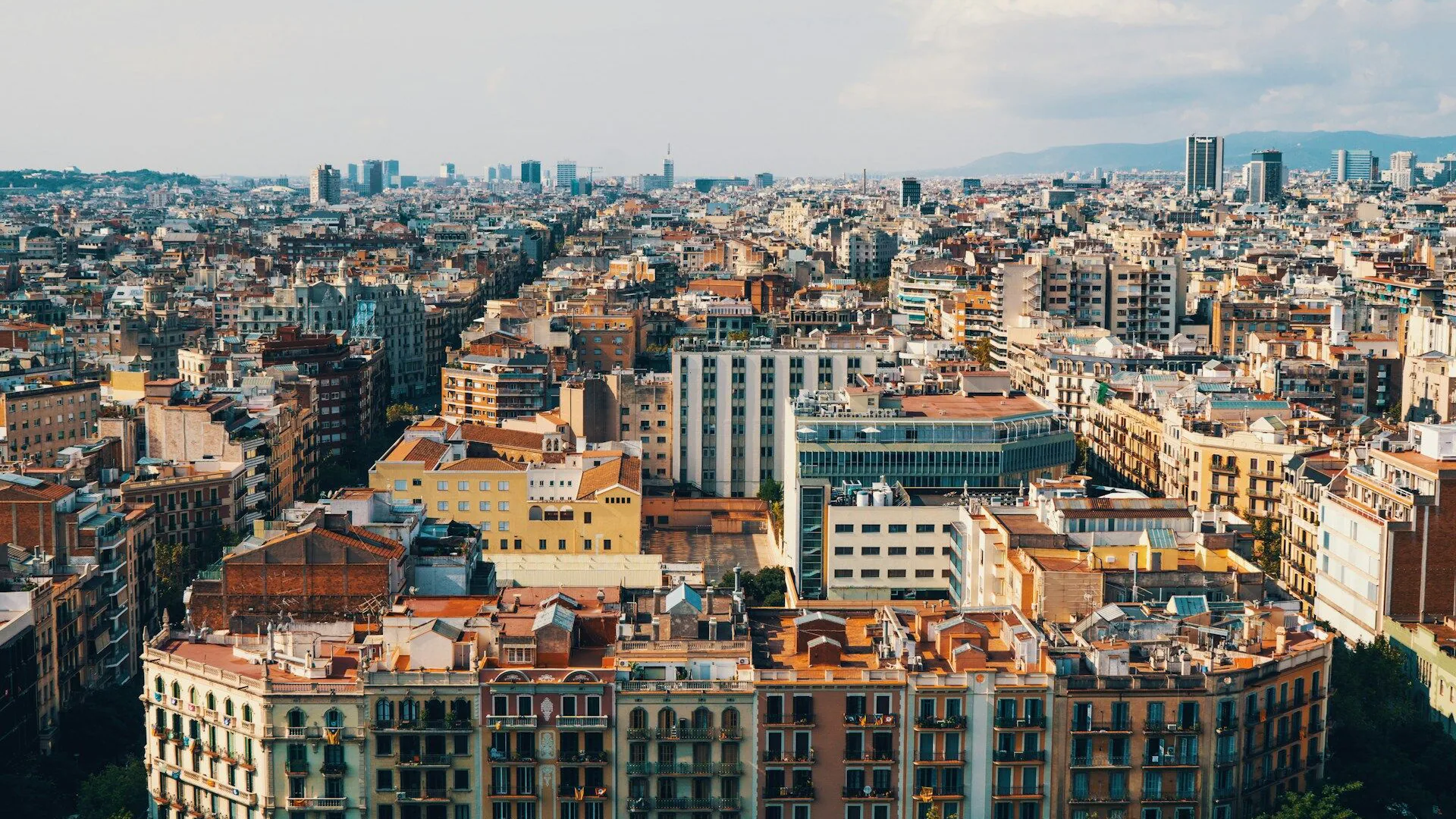 Basque translator — certified and professional Basque translation