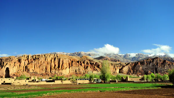 Kurdish translator — Ecrivus